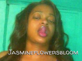 Jasmineflowersbloom