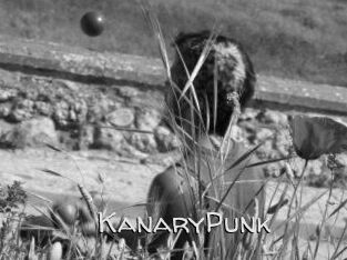 KanaryPunk