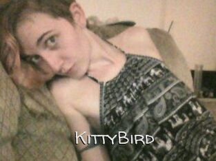 KittyBird