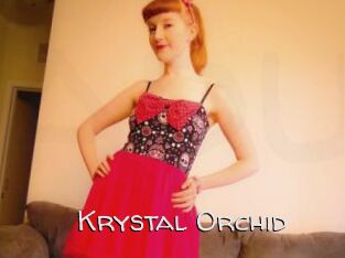 Krystal_Orchid