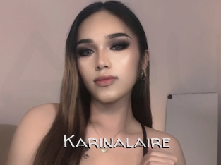 karinalaire Adult dvd gold