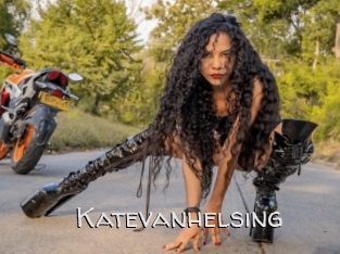 katevanhelsing Adult dvd gold