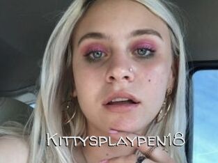Kittysplaypen18