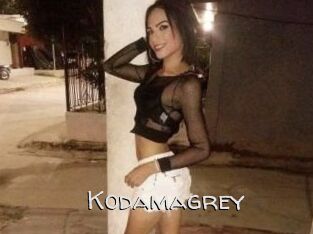Kodamagrey