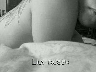 Lily_roseh