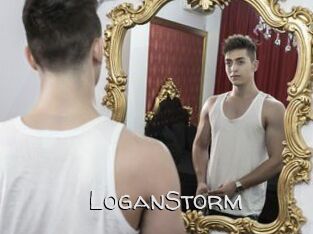 LoganStorm
