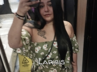 Laribis