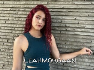 Leahmorgaan