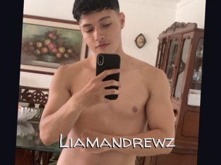 liamandrewz Adult dvd gold