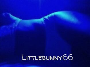 Littlebunny66