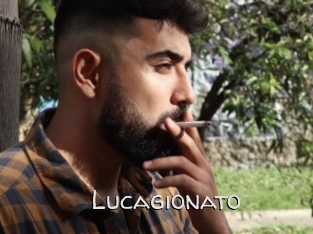 lucagionato Adult dvd gold