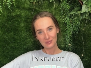 Lynfudge