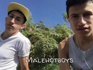 Malehotboys