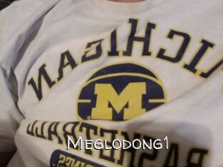 Meglodong1