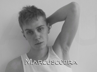 Marcuscobra
