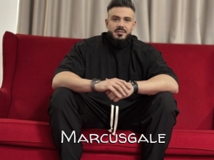 Marcusgale