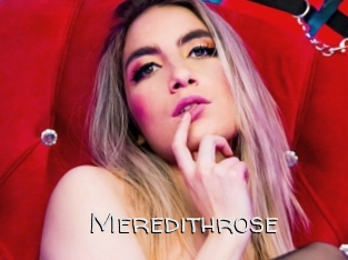 meredithrose Adult dvd gold