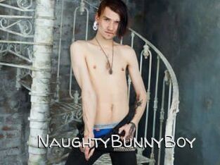 NaughtyBunnyBoy