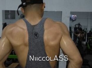 NiiccolASS