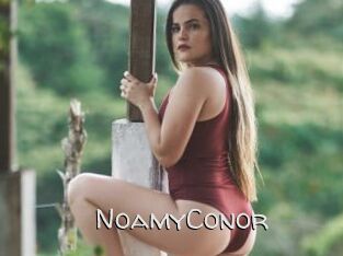 NoamyConor