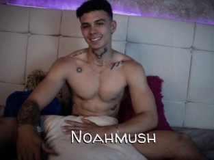 noahmush Adult dvd gold