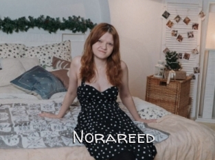 Norareed