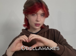 Odellahakes