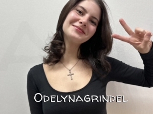 Odelynagrindel