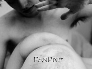 PanPixie
