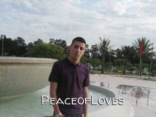 PeaceofLoves