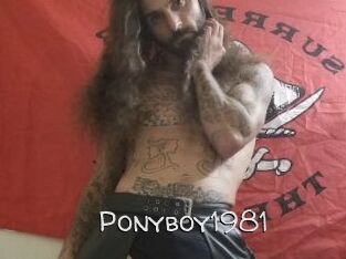 Ponyboy1981
