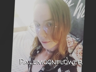 Palemoonflower