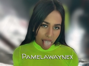 Pamelawaynex