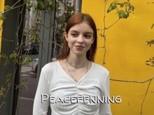 Peacefenning
