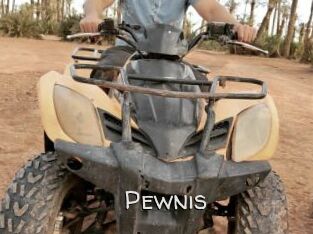 Pewnis