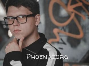 Phoenixzorg