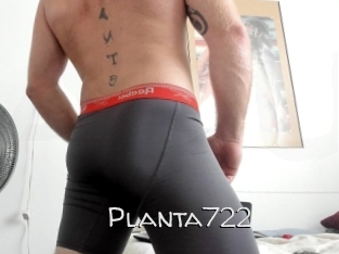 planta722 Adult dvd gold