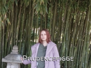 Prudencefigge