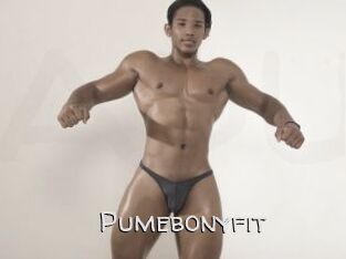 Pumebonyfit