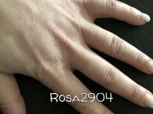 Rosa2904