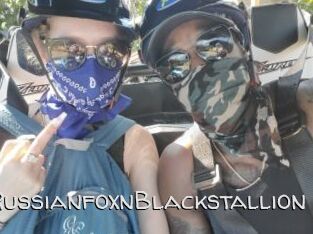 RussianfoxnBlackstallion