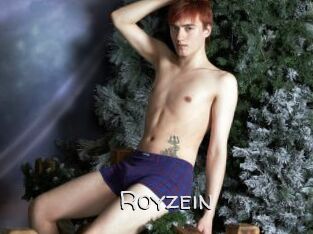 Royzein
