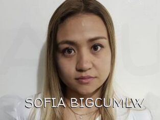 SOFIA_BIGCUMLW