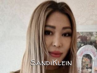 SandiKlein