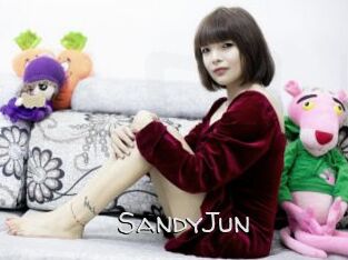 SandyJun Adult dvd gold