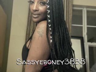 Sassyeboney3838
