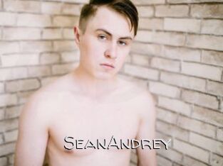 SeanAndrey