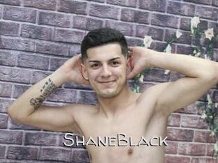 ShaneBlack