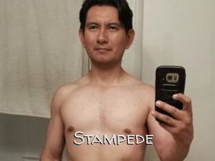 Stampede