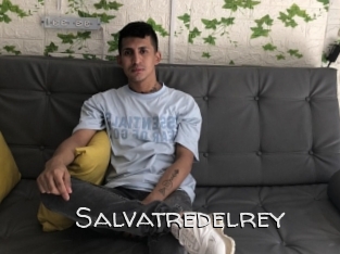 Salvatredelrey